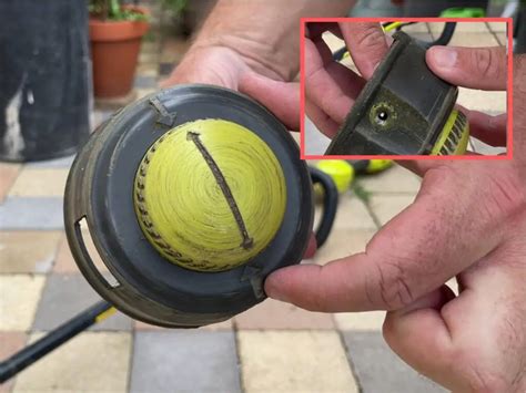 How to Replace Trimmer Line Bump Feed: A Journey Through the Garden of Mechanical Whimsy