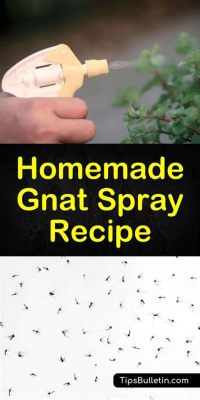 What Spray Kills Gnats: Exploring the Buzz Around Gnat Control