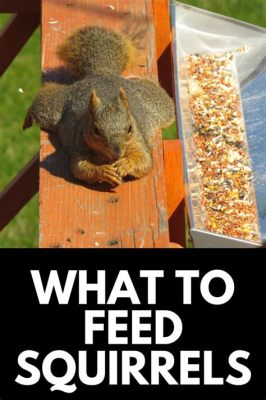 What to Feed Squirrels in Backyard: A Nutty Discussion on Backyard Wildlife Cuisine