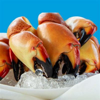 When is Florida Stone Crab Season: A Time for Feasts and Philosophical Musings